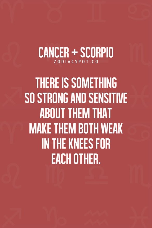 Scorpio cancer love