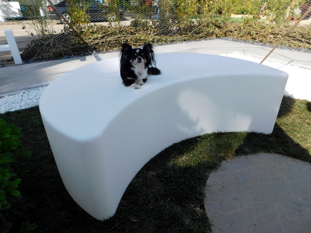 Design4Pet CATSCAPE DOGSCAPE giardini e terrazzi 2019