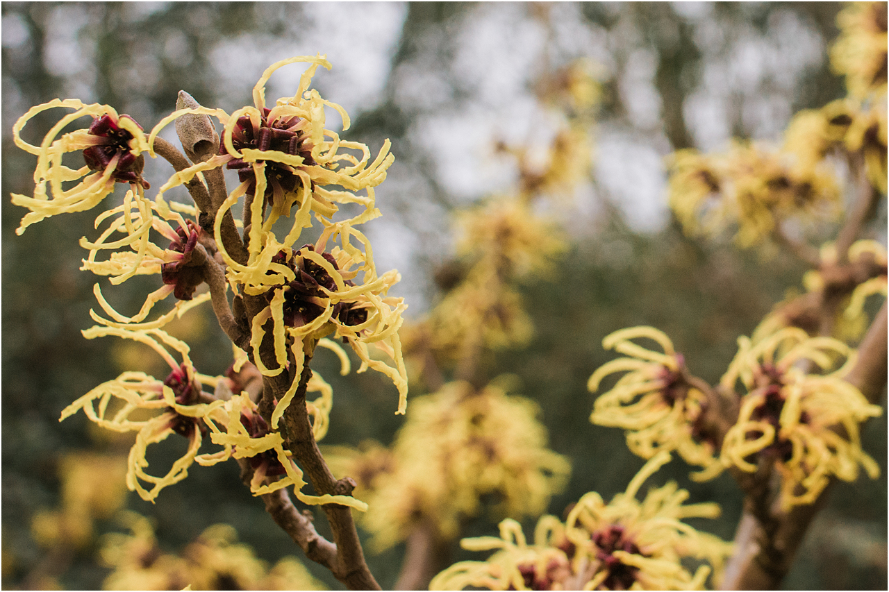 The Travel Photographers