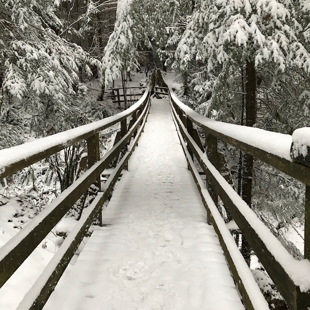 Snow walk, Sunshine Coast, BC, Canada