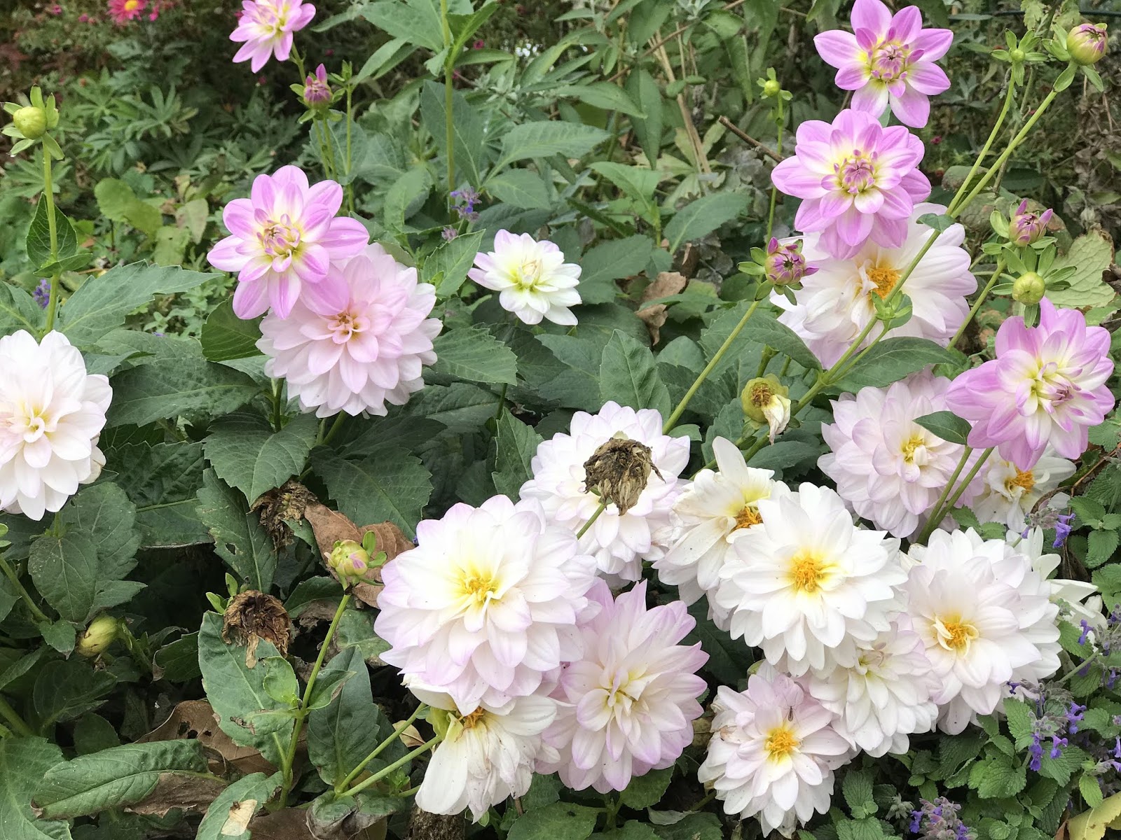 Nikolauswichteln Handmade By Maritabw