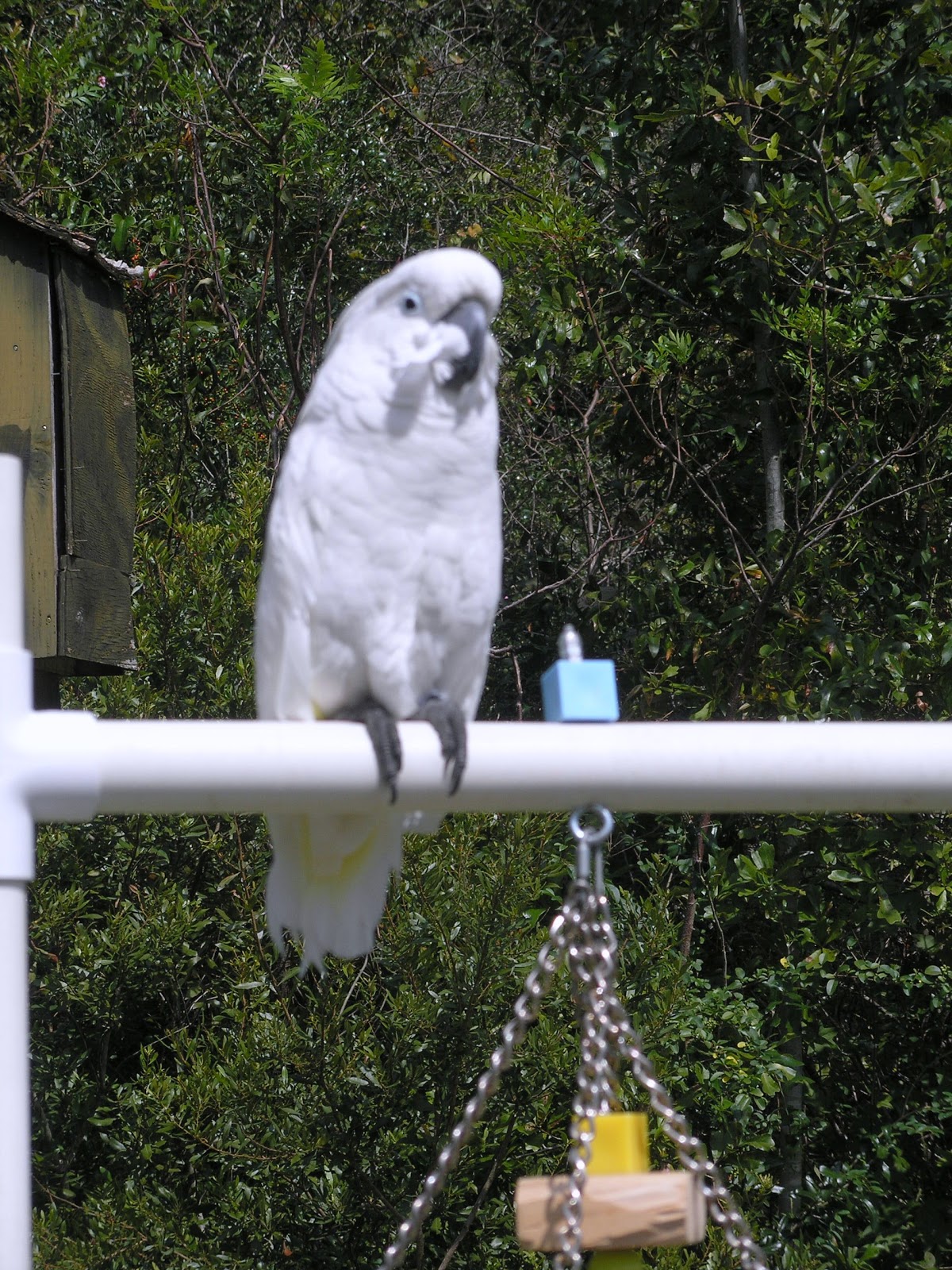 Travel with the Slivas Louisiana Bayou NWR