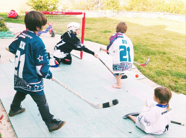 backyard game of hockey