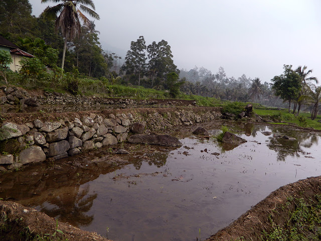 Destinasi - Melawat ke Bukittinggi, Padang, Indonesia |MyRokan