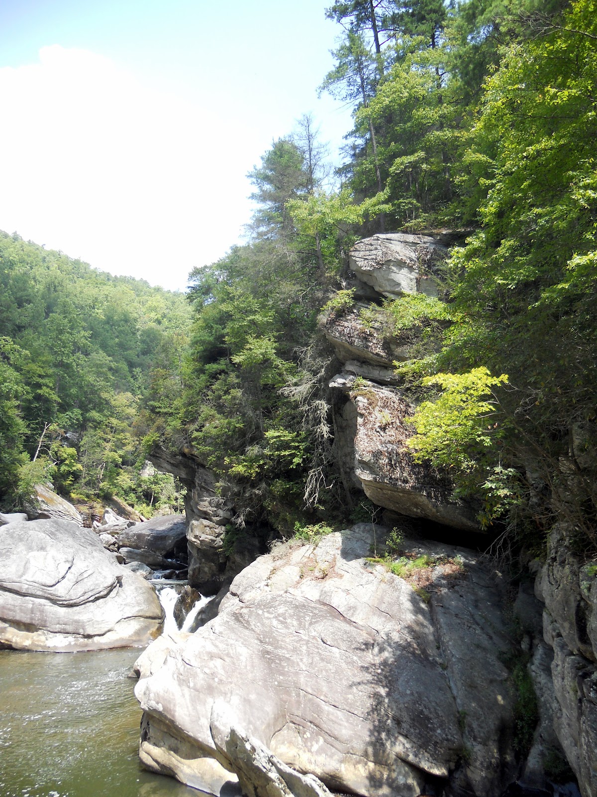 Hiking with a Fat Bald White Guy Linville Spence Ridge