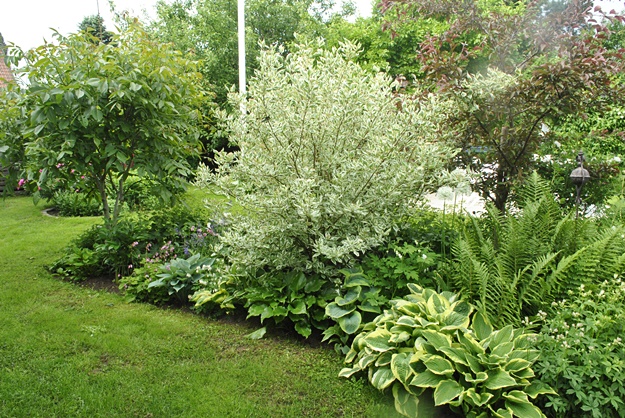 Rosor och ruiner: Mitt bästa trädgårdstips