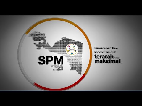 S2 Kesmas Unand 16 Standar Pelayanan Minimal Bidang Kesehatan 2016