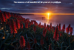 nature amazing wallpapers quotes sunrise stunning stumbleupon fresh collection background funny desktop way swan waterfall flowers under glowing every later