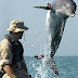 Delfines para la "guerra y contra el terror"