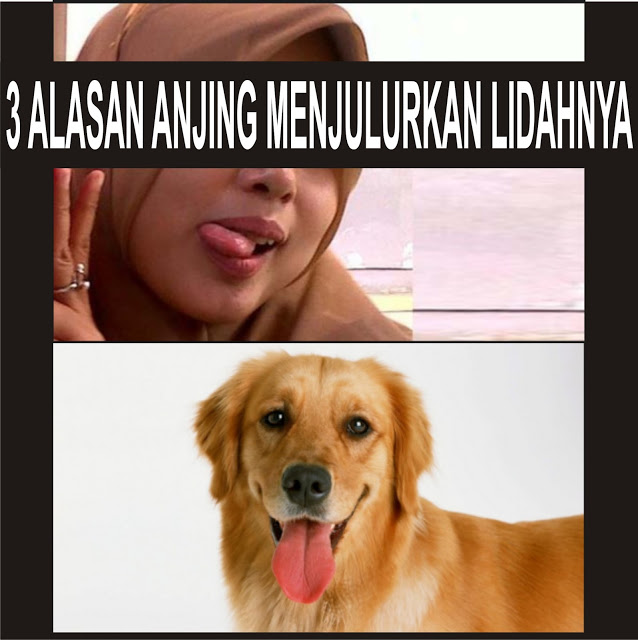 Wanita Janganlah Kau Julurkan Lidah Mu Saat Berfoto Selfie