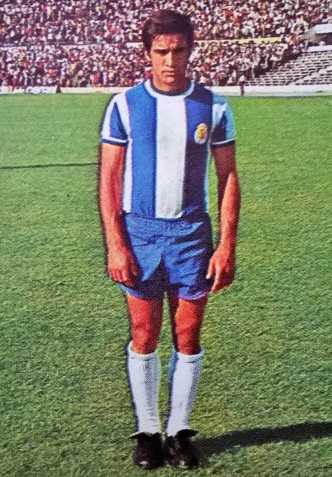 Memória Azul Adelino Teixeira