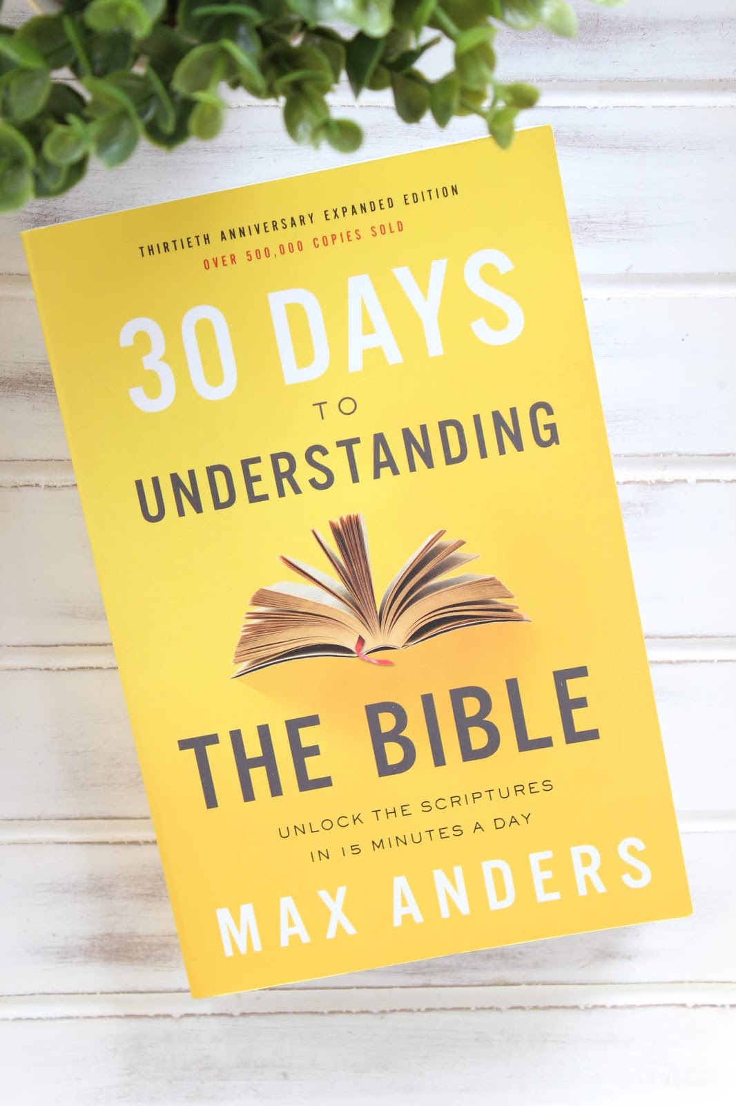 30 Days to Understanding the Bible  by Max Anders 