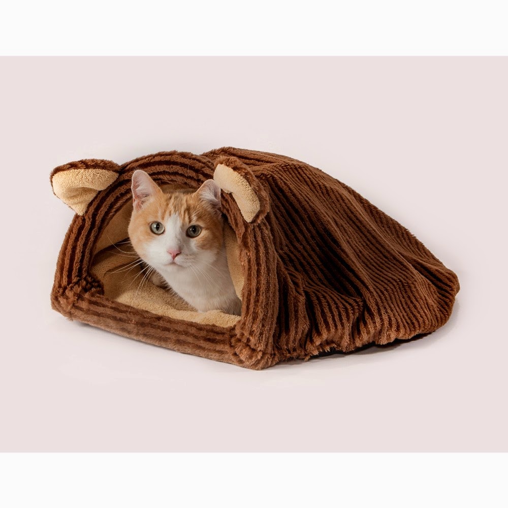 Cat Burrowing and Sleeping Bag
