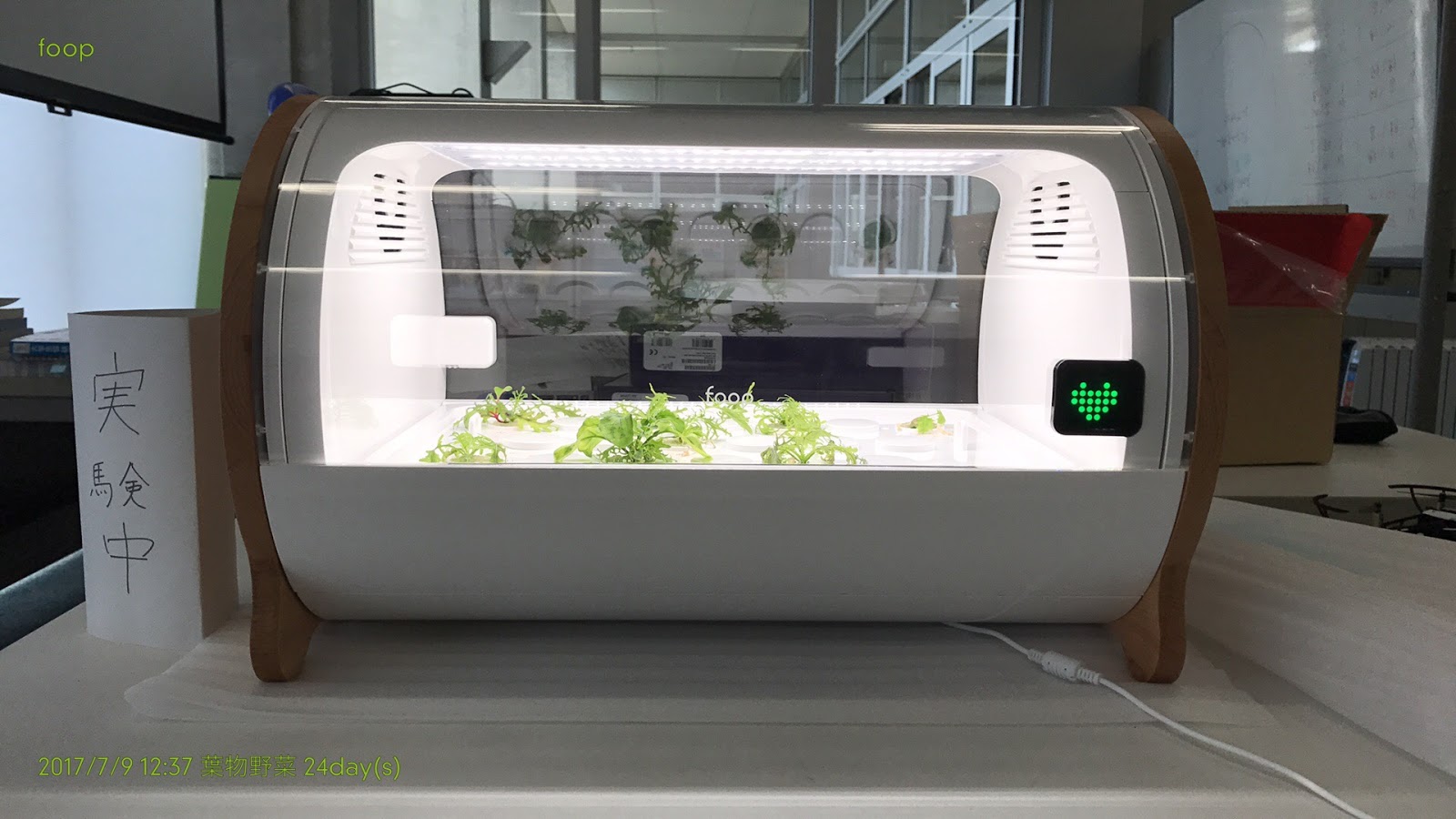 Toil and Moil IoT水耕栽培機「foop」での初期実験(24〜25日目)