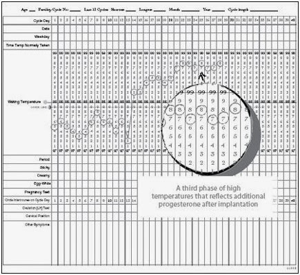 Making Baby Series - Part 12 :THE MAKING BABIES BASAL BODY TEMPERATURE ...