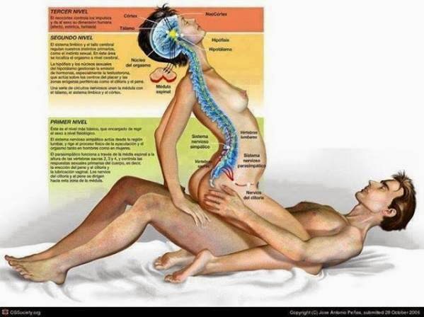 What Are The Benefits Of Sex 40