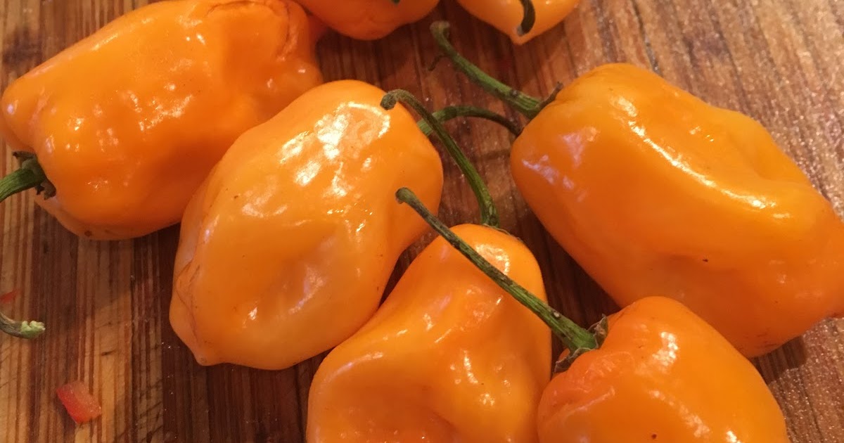 My CSA Challenge... HOT Pepper Jelly habañero and basil