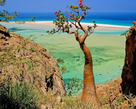 Misteri Pulau Socotra di Yemen - Lokasi Dajjal Dirantai?
