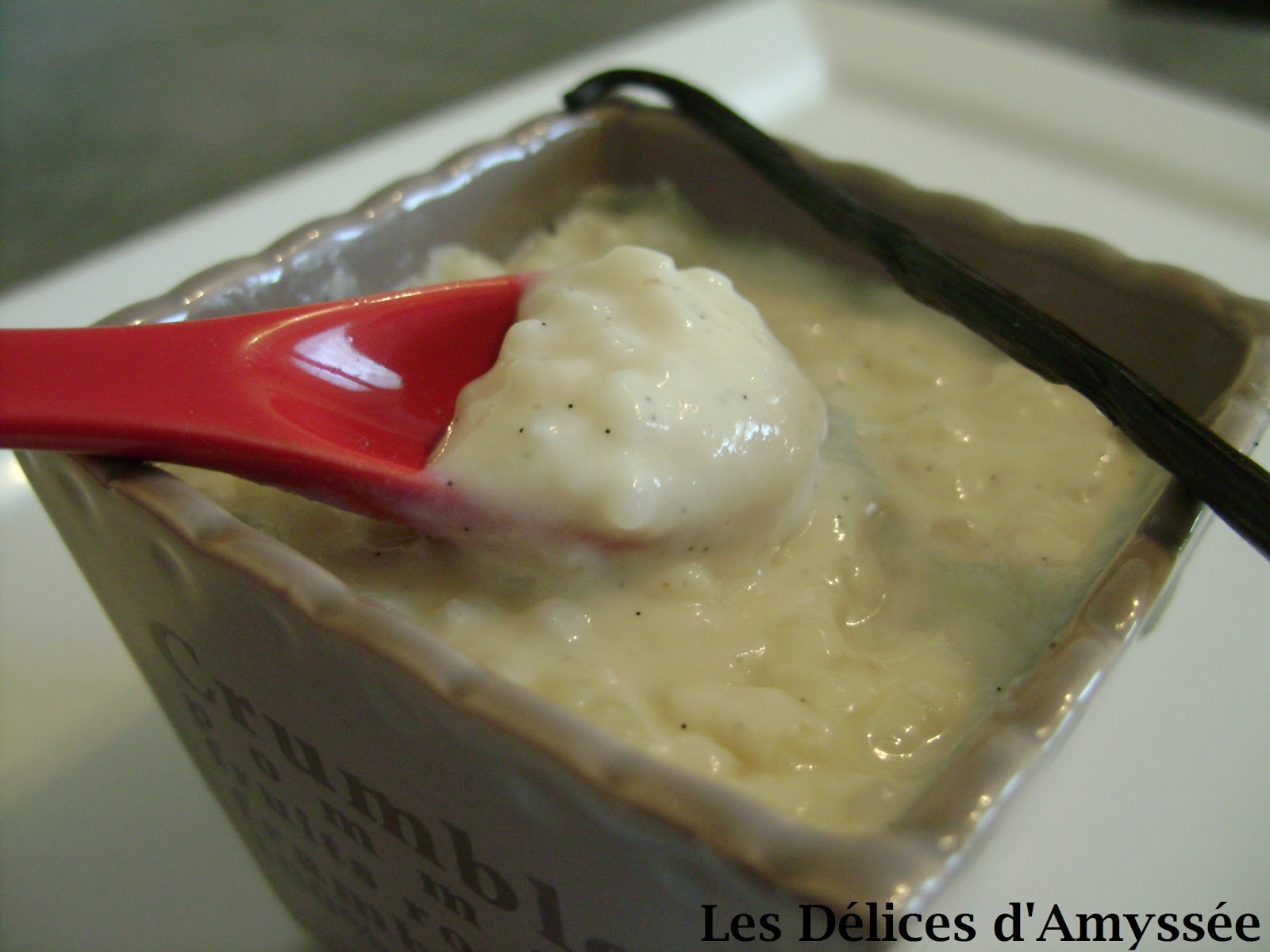 Les Délices d'Amyssée Riz au lait au Thermomix