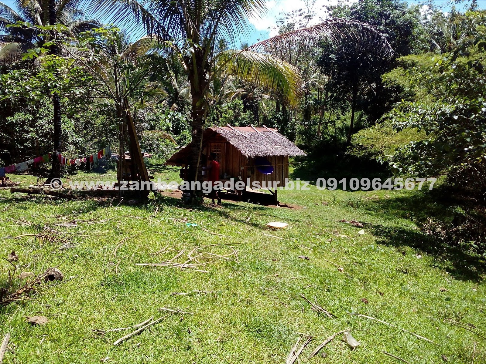 Zamboanga del Sur Properties