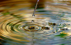 Hermetic Principle 3: "Nothing rests; Everything Moves" Hermetic Principle 3: "Nothing rests; Everything Moves"