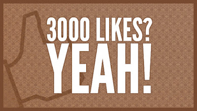 He alcanzado los 3000 seguidores en Facebook!!!!!!