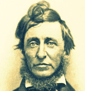 revient toujours rivage