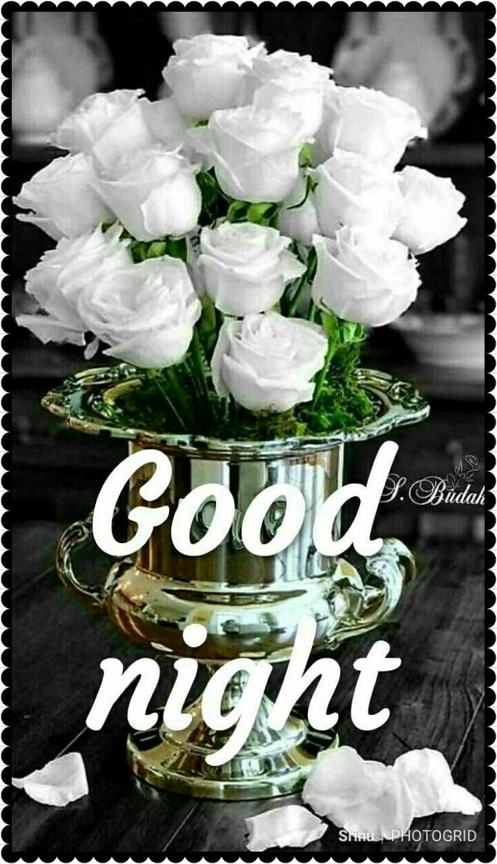 good night cute images