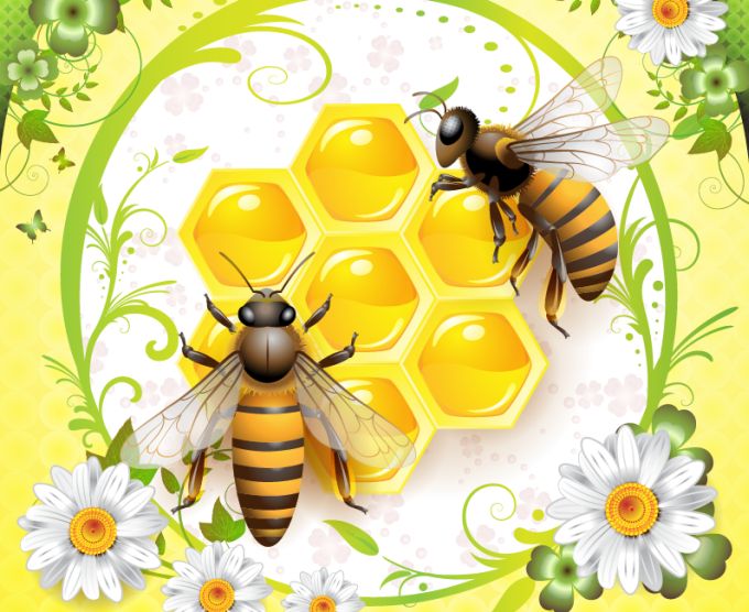 Download Kaeda vector mania: Honey bee illustrations vector