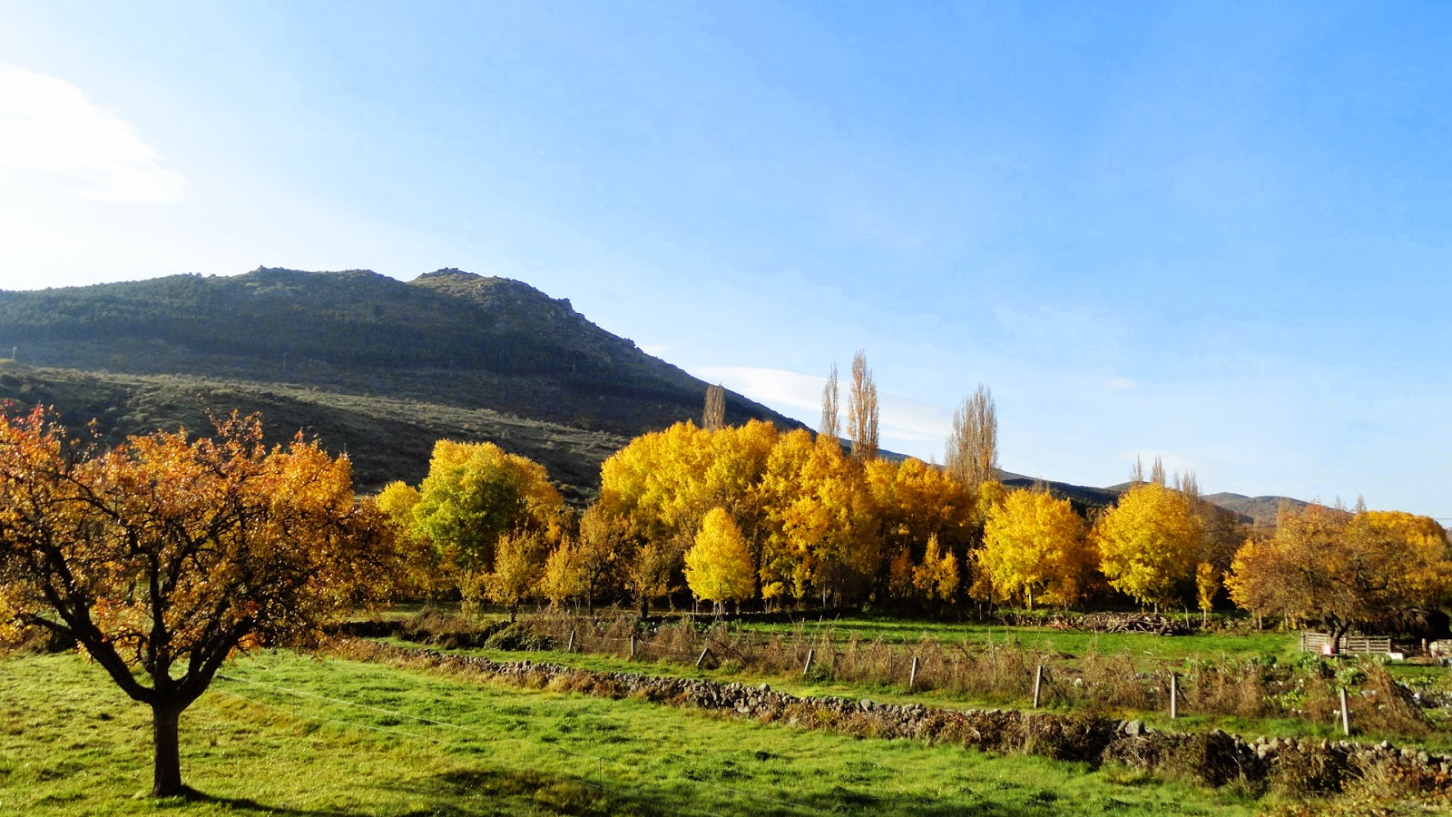 EL BICIERRANTE: NACIMIENTO DEL ADAJA Y VALLE DEL CORNEJA