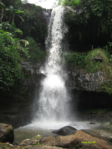 Potensi Nongkojajar: Air Terjun Sumber nyonya Gunungsari pasuruan