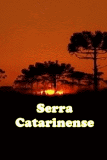 https://www.euamosantacatarina.com.br/2018/03/serra-catarinense.html