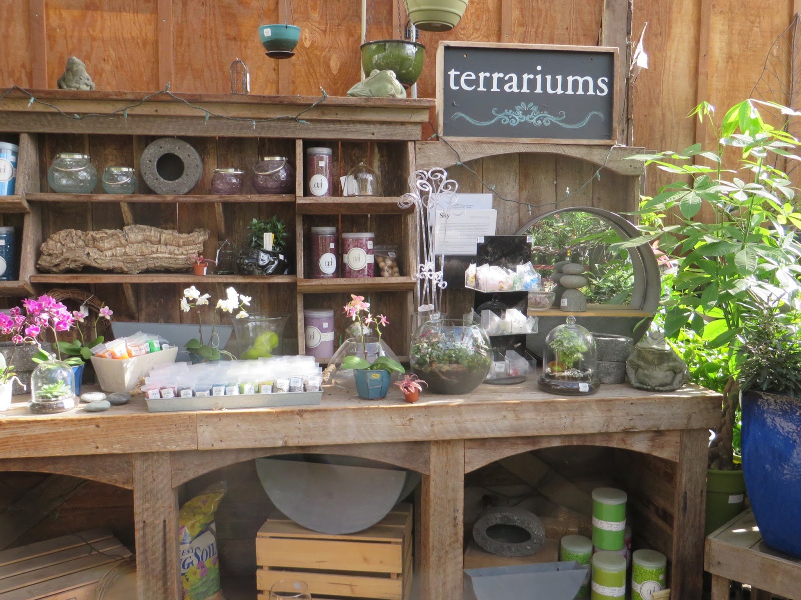 Nursery Visit Sky Nursery Seattle