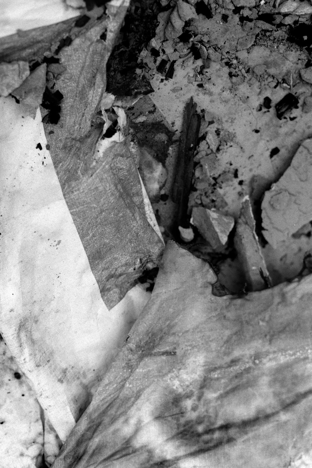 Roll Buttermilk Drop Bakery