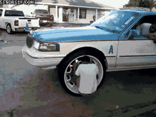 Gifs 2 All: Gif Riding The Rims
