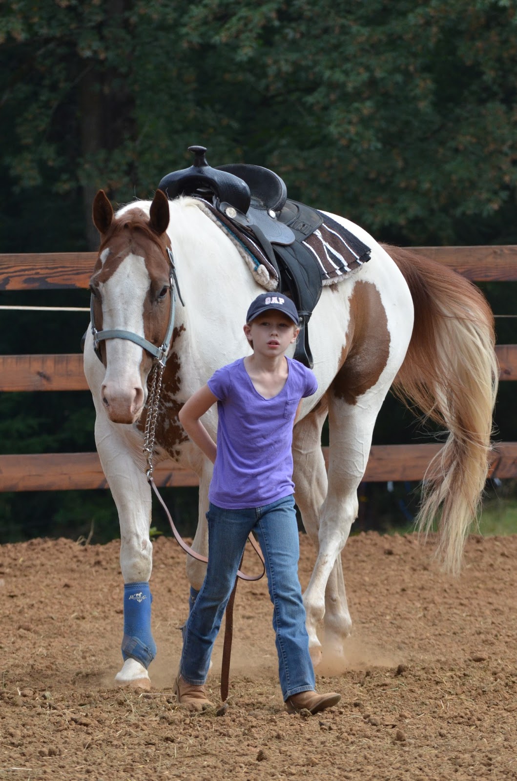 Horse Showing Mom How to properly cool down a horse