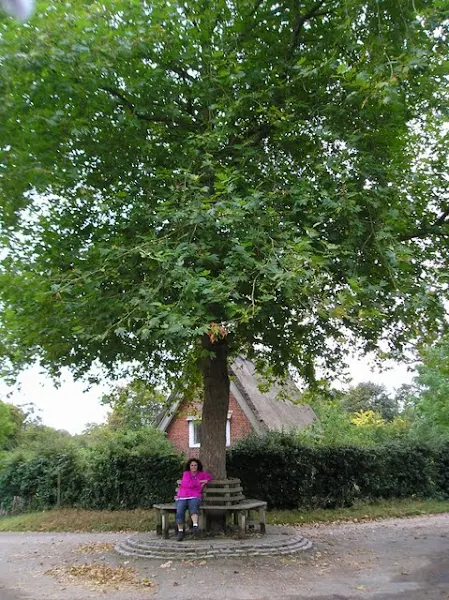 North Walsham to Cromer Walk