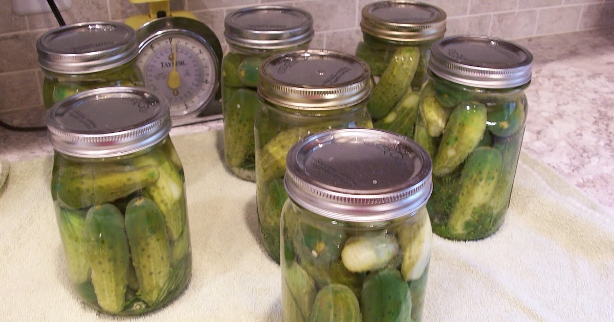 Maid in Minnesota Dill pickles with garlic and Jalapeno