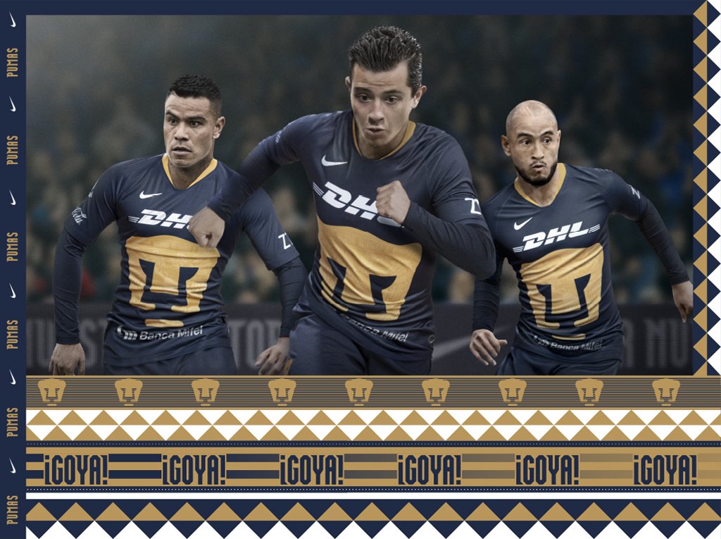 pumas rugby 2019
