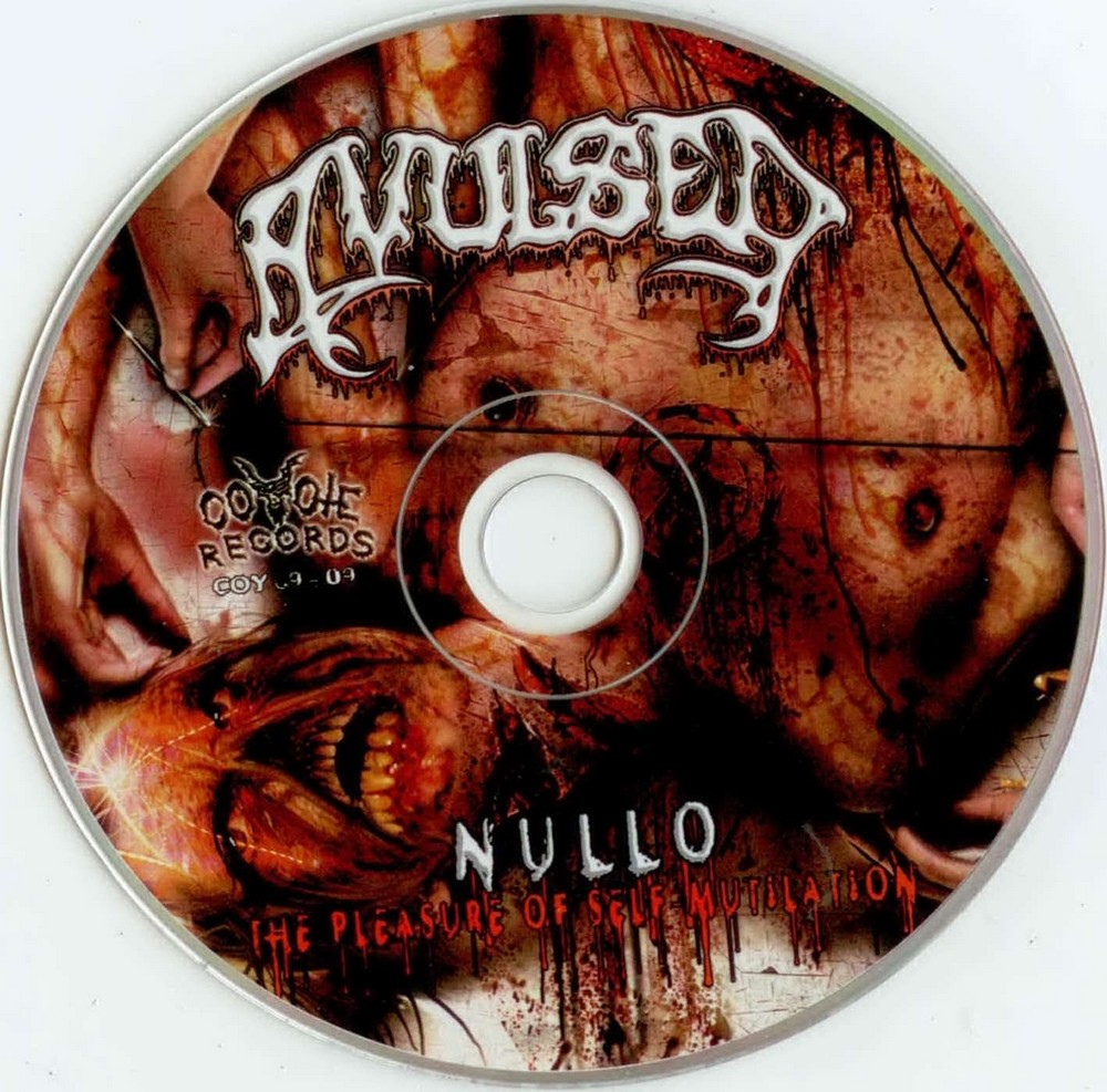 Nullo Slave Nullo Slave