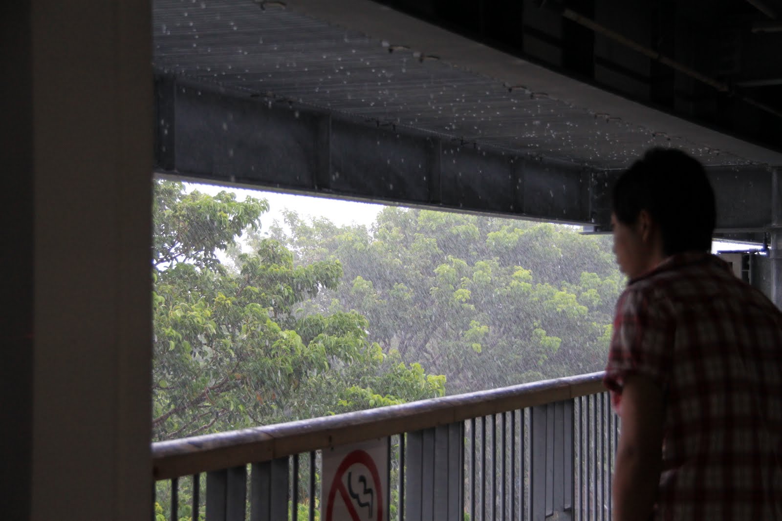 Alwina's Travel Blog: Okinawa Day 4: 5-Sept-10 Nago-Shi