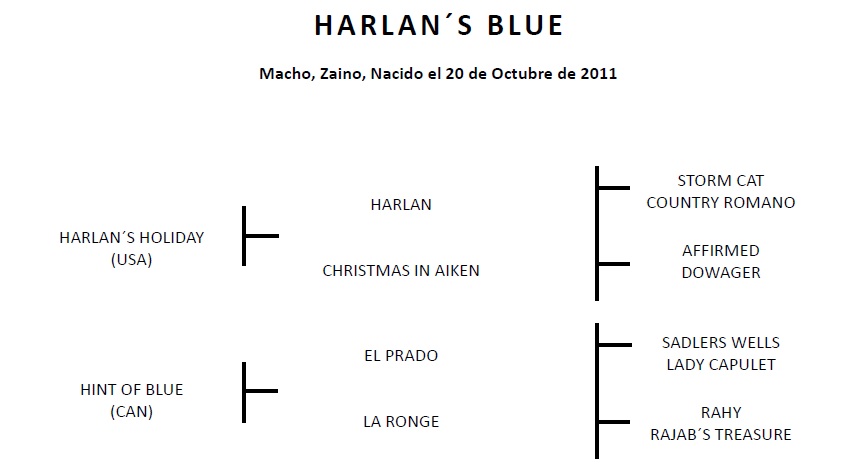 HS EL CORAJE - HARLANS BLUE