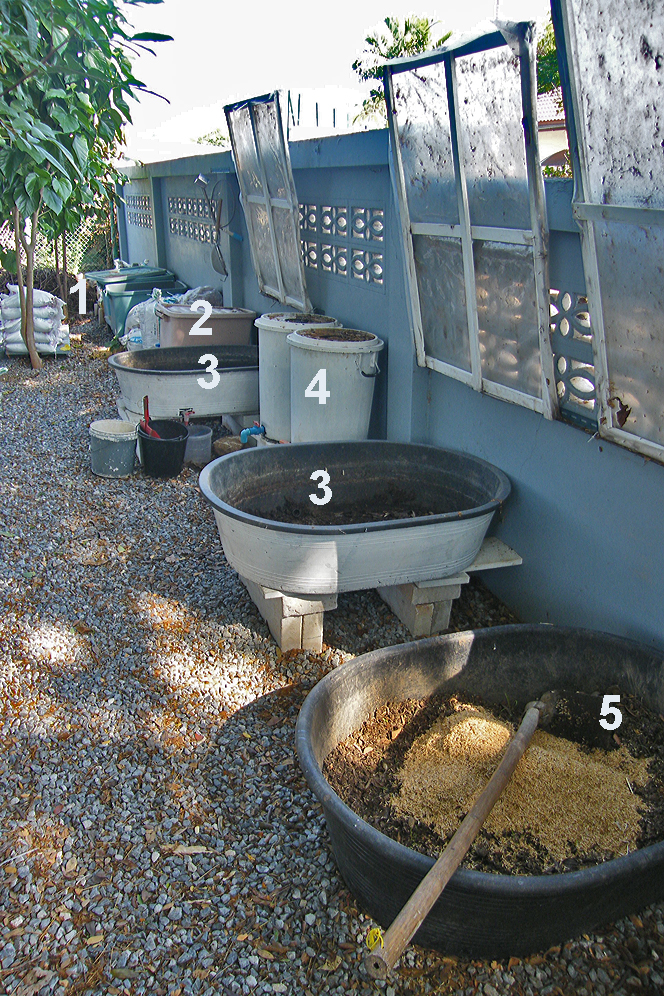 ThailandPakchong Beobachtungen und Erfahrungen Thailand Humus für