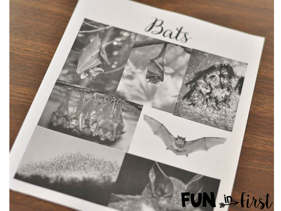 Guided Reading in October - Fun in First