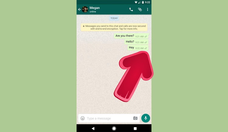 Trik Membaca Chat WhatsApp Tanpa Centang Biru Terlihat Trik Membaca Chat WhatsApp Tanpa Centang Biru Terlihat