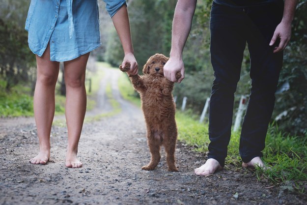 ensaio de fotos de casal com cachorro