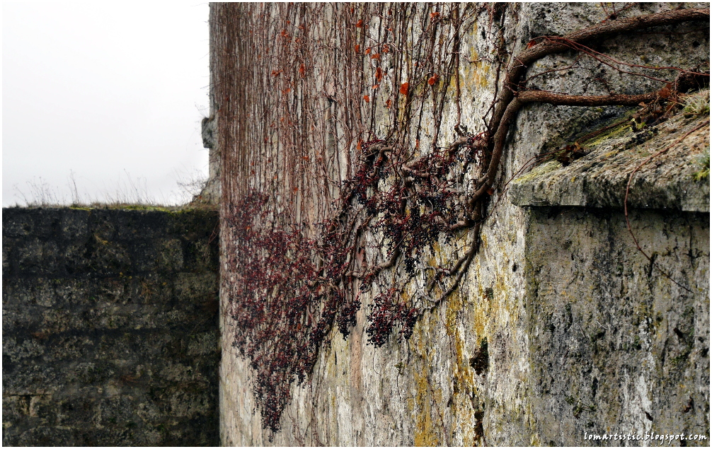 LOMARTISTIC In einer Burg hausen