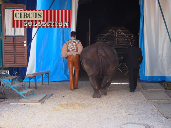 Tsavo le rhinocéros du cirque Krone anciennement du cirque Barum