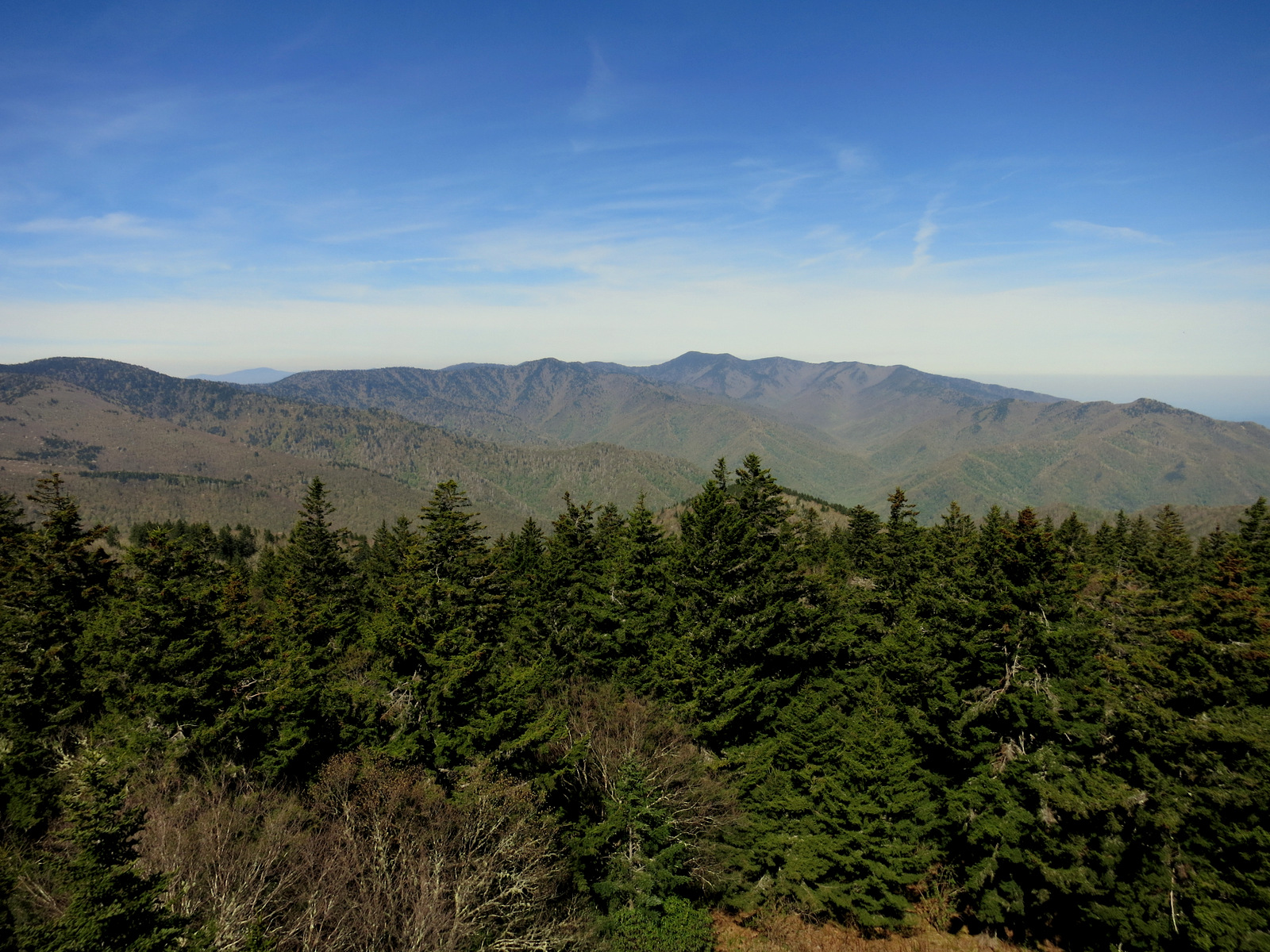 Come Along With Chong Baxter Creek to Mount Sterling Great Smoky Mountains National Park