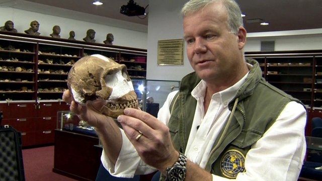 homo naledi
